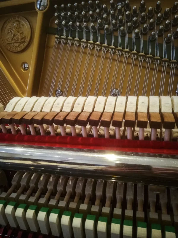 Bechstein Mod.4 – Image 3