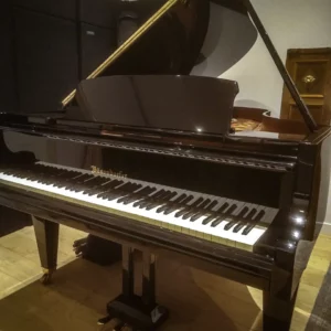 Bösendorfer 200