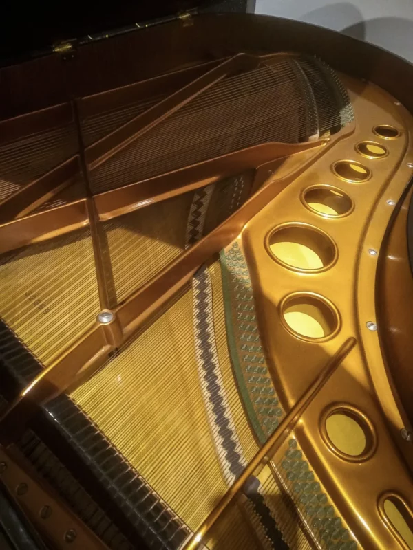 Bösendorfer 200 – Image 2
