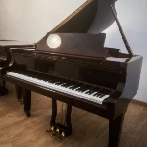 Pleyel / Schimmel Vendôme