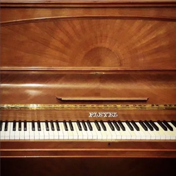 Pleyel Modèle P
